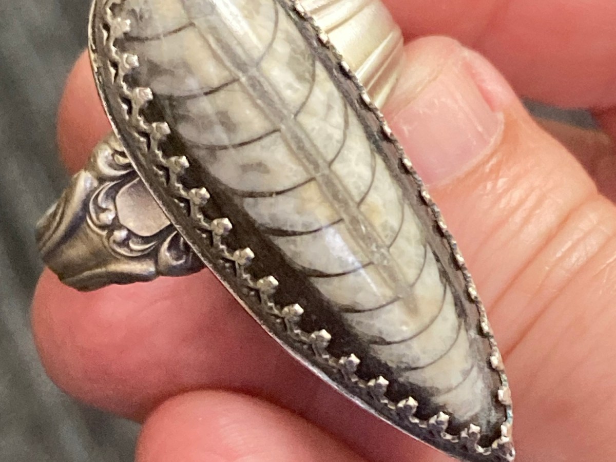 Belemnite fossil ring sz&nbsp;13